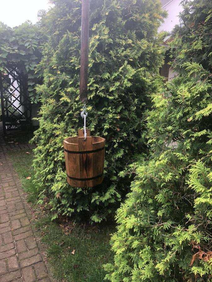 Farm stay Stajnia Bukwica Narewka