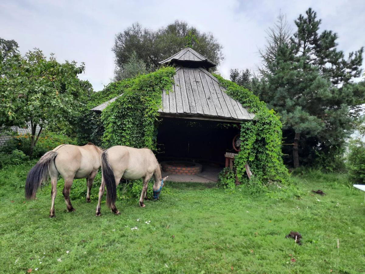 Stajnia Bukwica Farm stay *